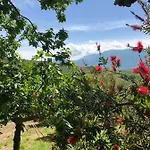 La Vigna Di Mario * San Salvatore Telesino