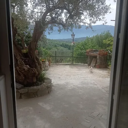 La Vigna Di Mario Bed & Breakfast *