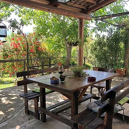 La Vigna Di Mario B&B 산살바토레텔레시노