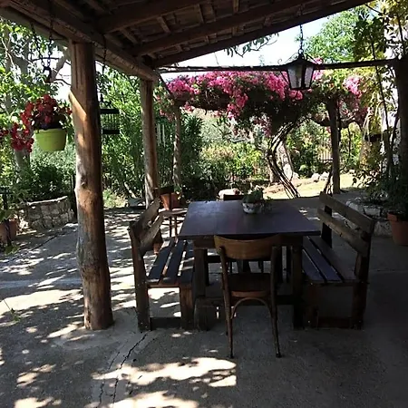 Bed & Breakfast La Vigna Di Mario *