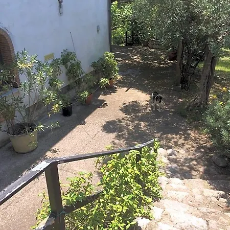 La Vigna Di Mario San Salvatore Telesino