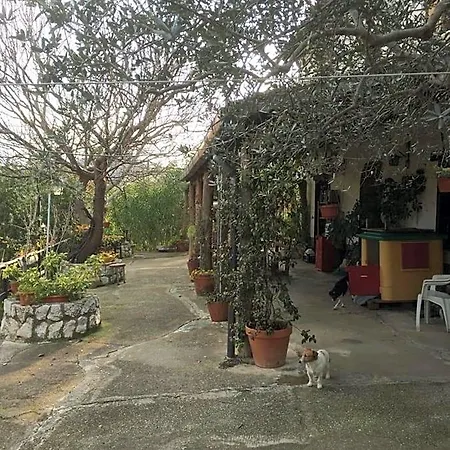 La Vigna Di Mario B&B