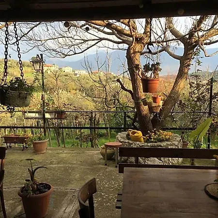 La Vigna Di Mario