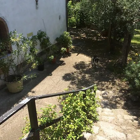 La Vigna Di Mario