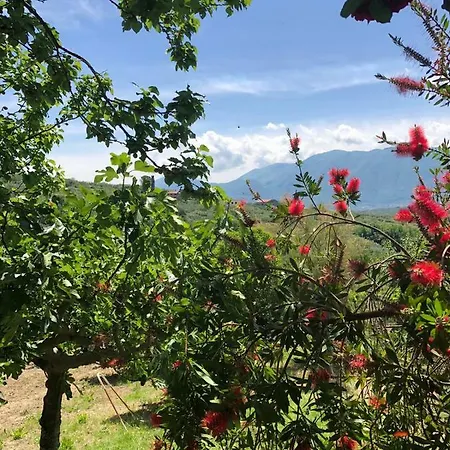 La Vigna Di Mario * San Salvatore Telesino