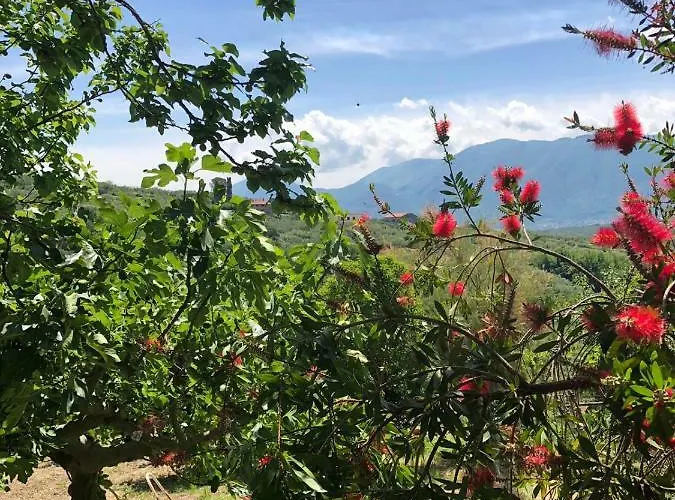 La Vigna Di Mario * San Salvatore Telesino